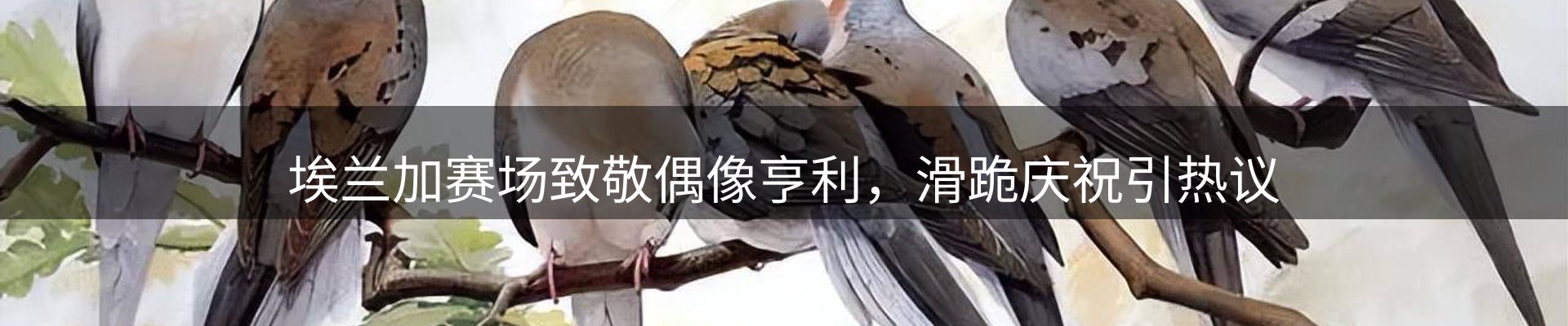 新闻观察
