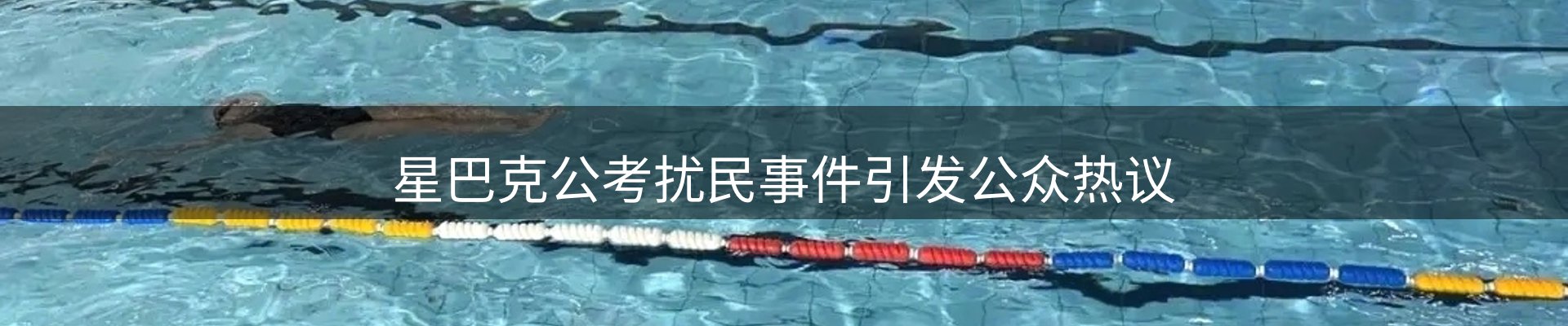新闻观察